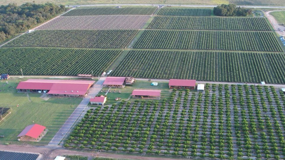 Strawberry, Sunflower & Seasonal Veggie U-Pick