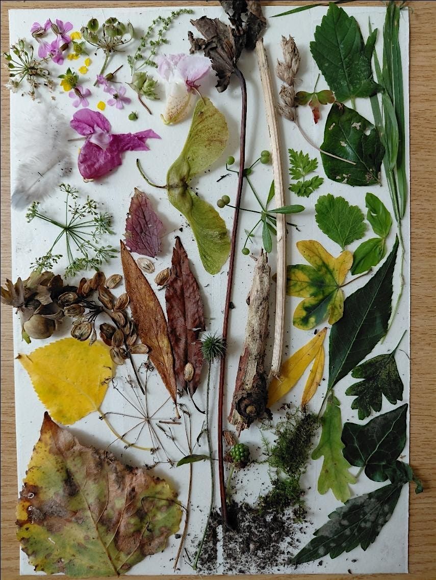 The Creative Woods in Autumn
