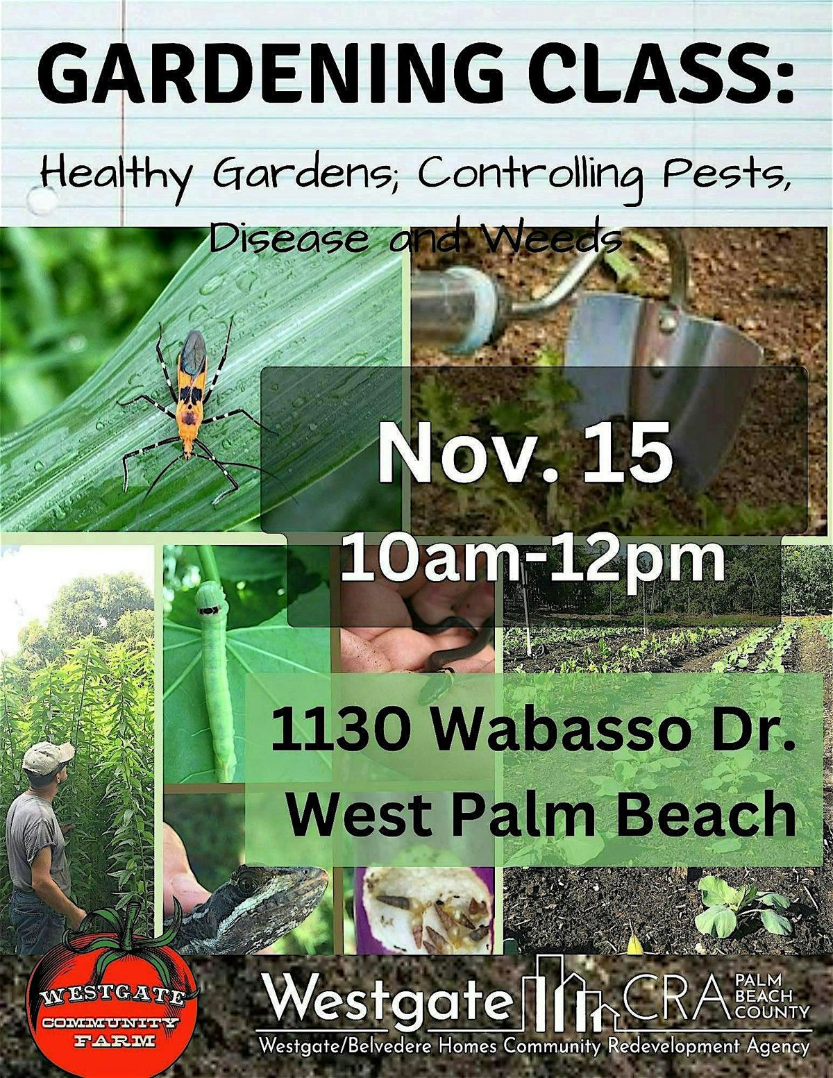 Gardening Class- Healthy Gardens: Controlling Pests, Disease, and Weeds