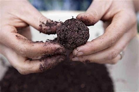 Ladies Only Plant Club