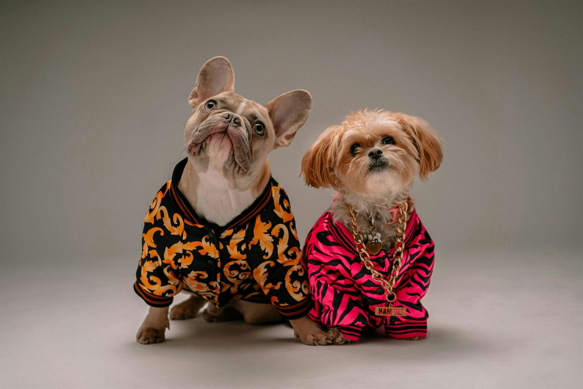 Paw-some Pop-Up at Urban District Market