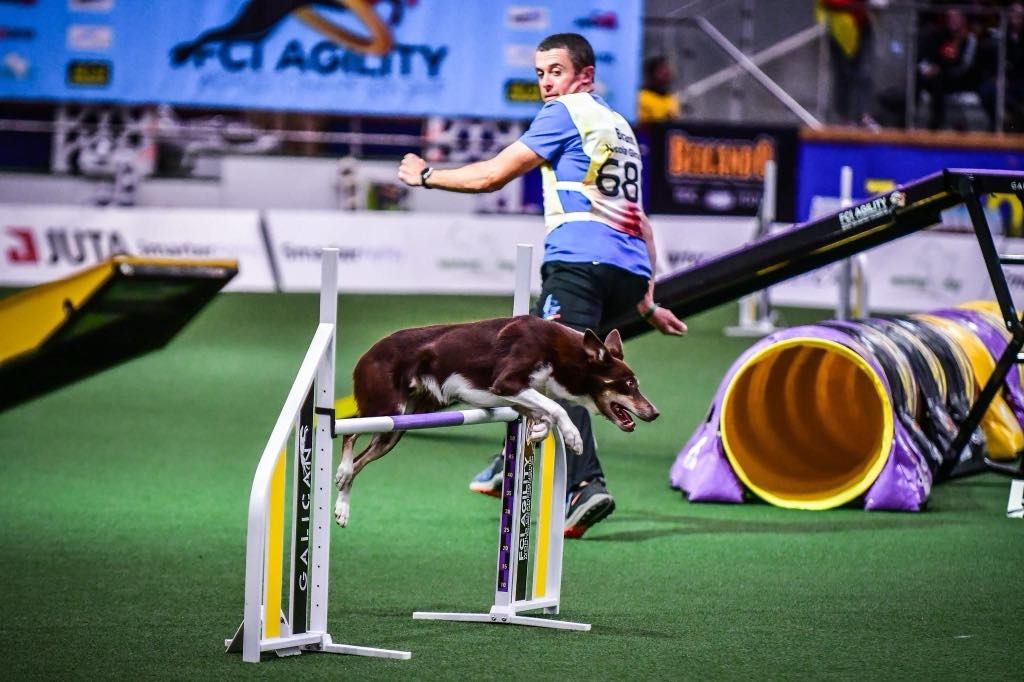 Agility seminar Nicola Giraudi (ITA)