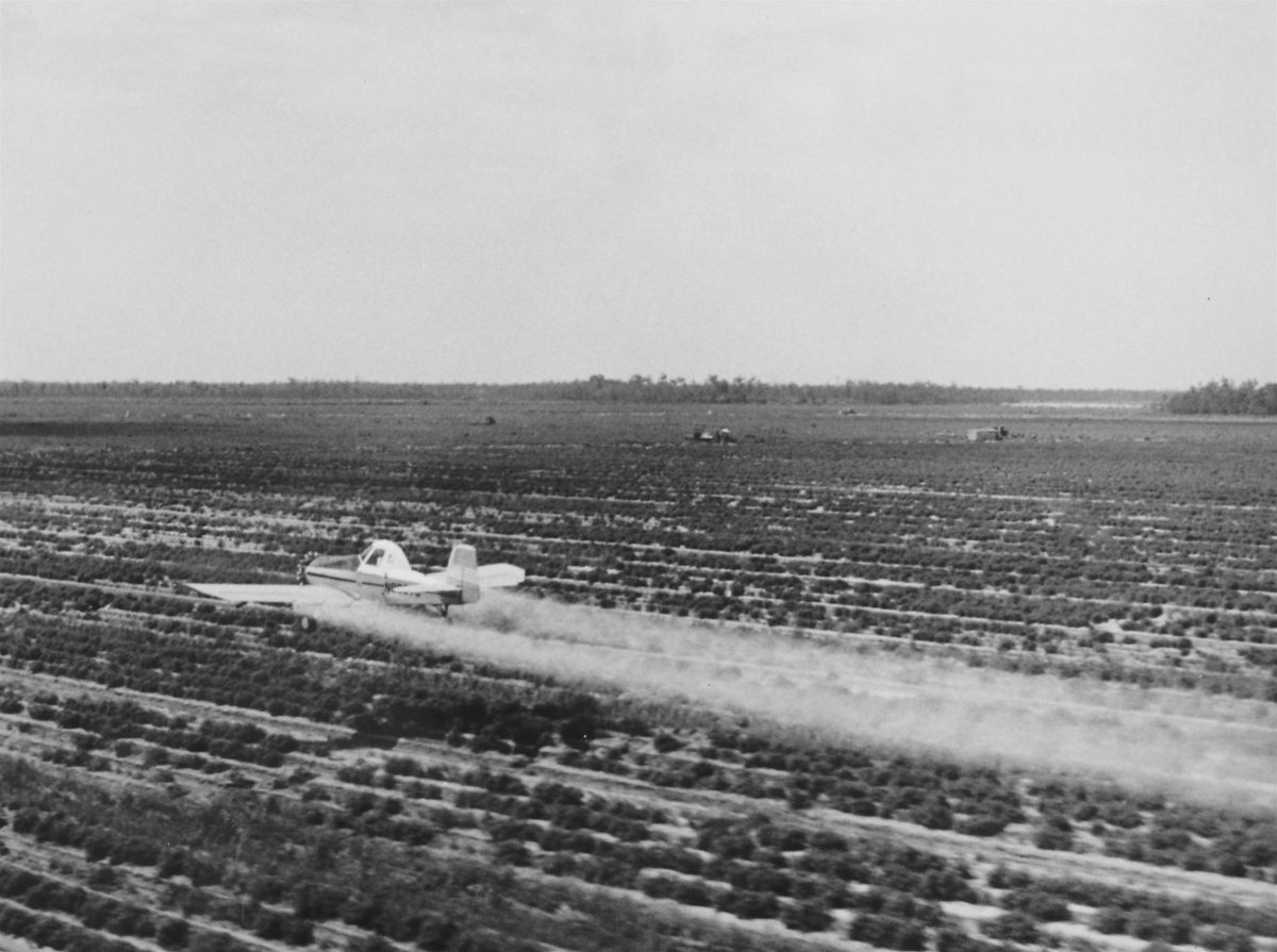 Private Applicator Pesticide Exam Review (CEUs!!!!)