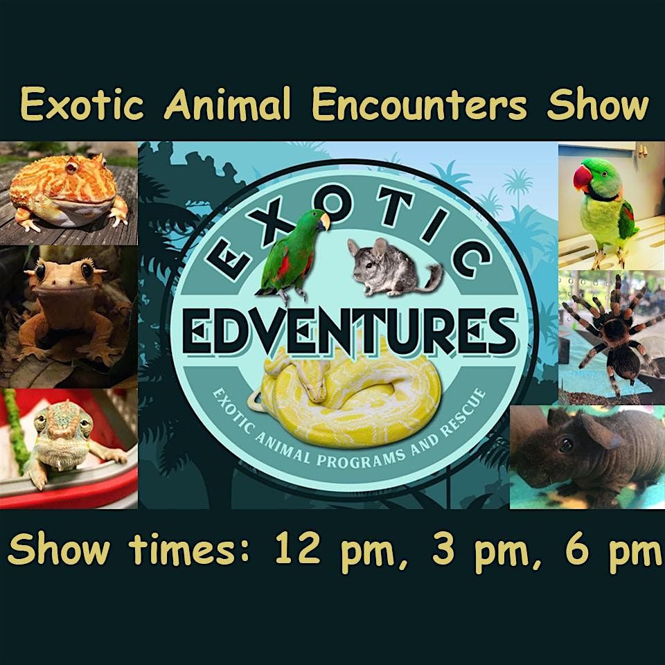 Exotic Animal Encounters Live Interactive Shows
