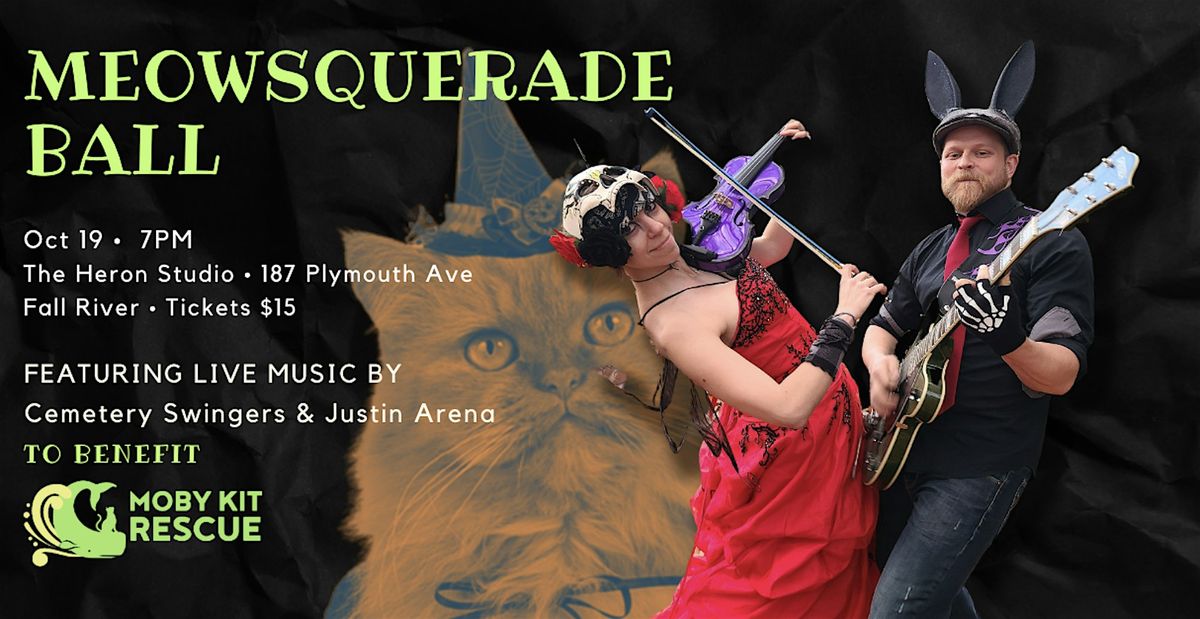 Meowsquerade Ball to benefit Moby Kit Rescue