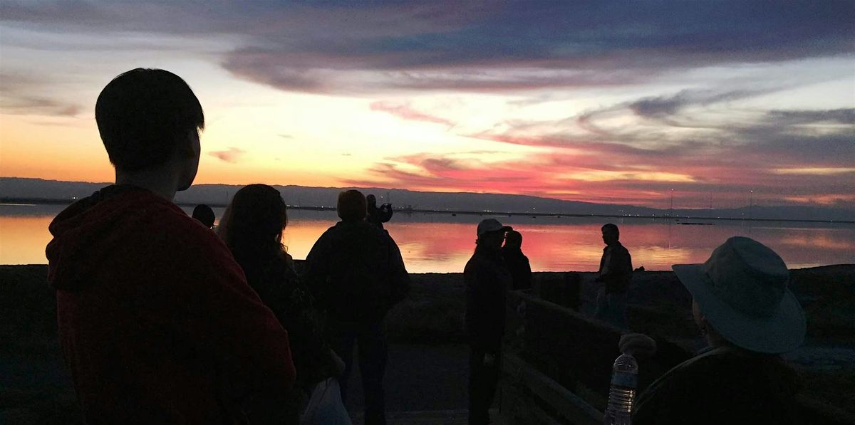 Twilight Marsh Walk