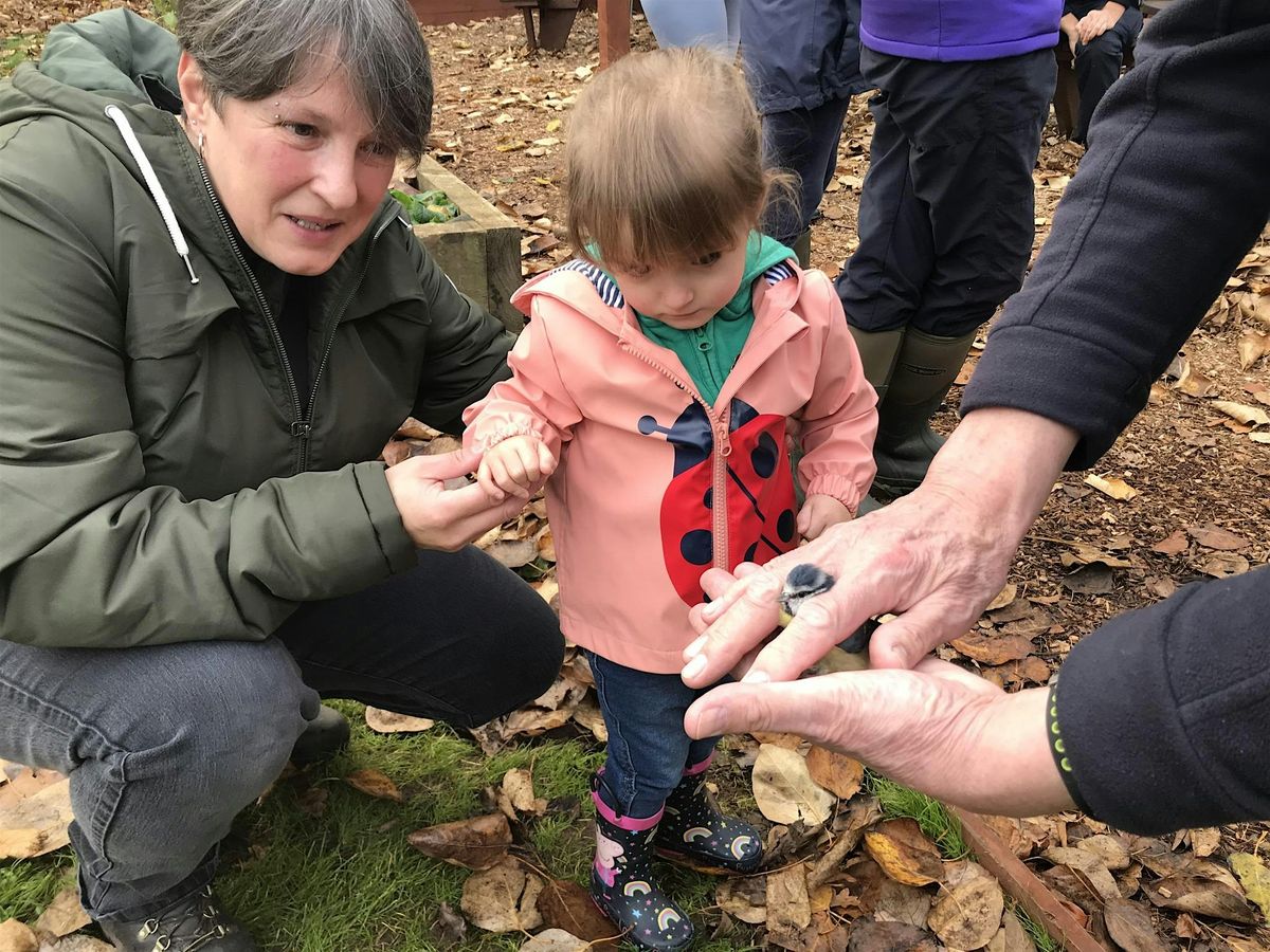 Bird-ringing Session