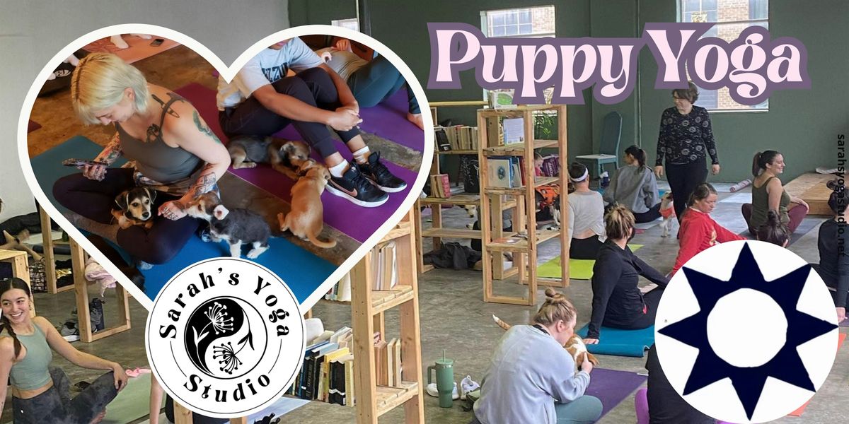 Puppy Yoga at Turnsol Books with Sarah's Yoga Studio