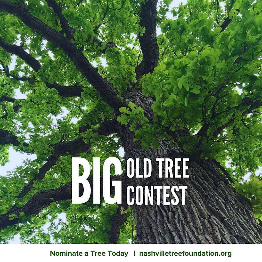 Big Old Tree Awards & Recognition Ceremony