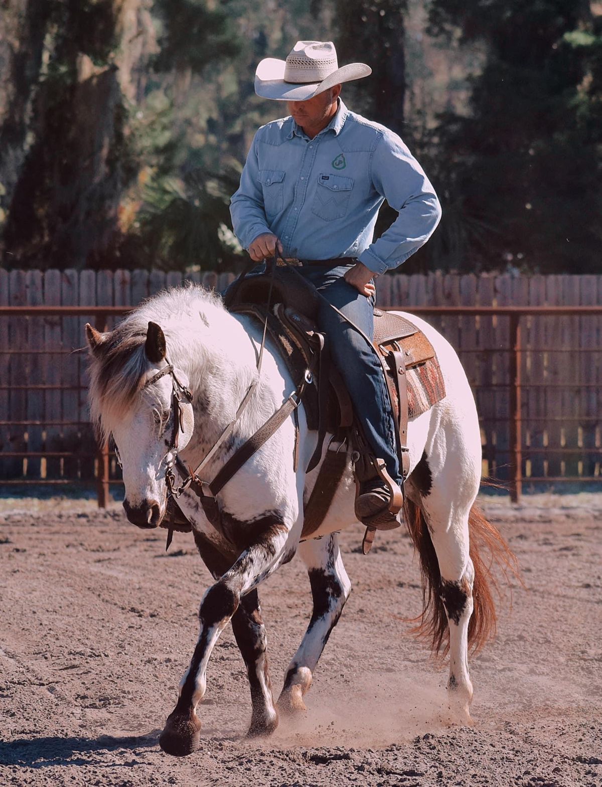 Horsemanship + Working Eq