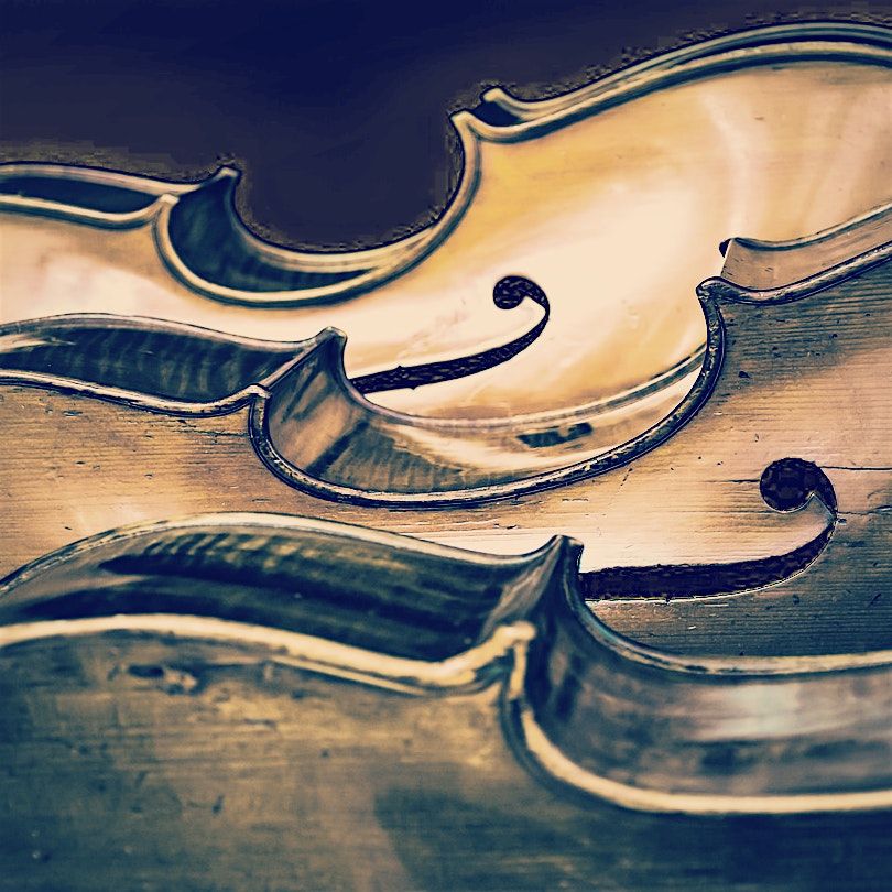 Beethoven: Upstart Genius