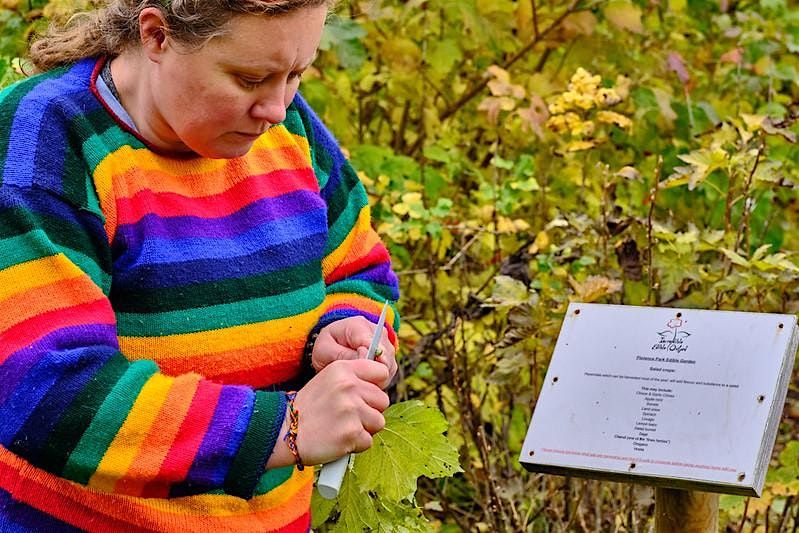 Propagation for the edible garden