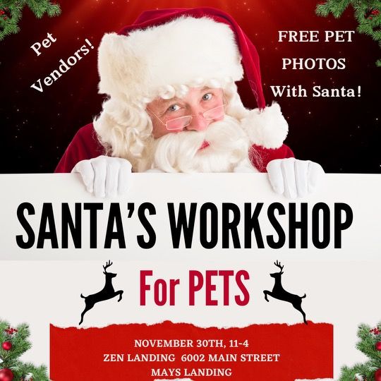 Santa's Workshop for Pets