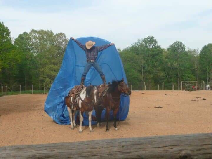 Horsemanship Clinic with Mark Hausman, Followed by Freeze Branding with Duane Poole