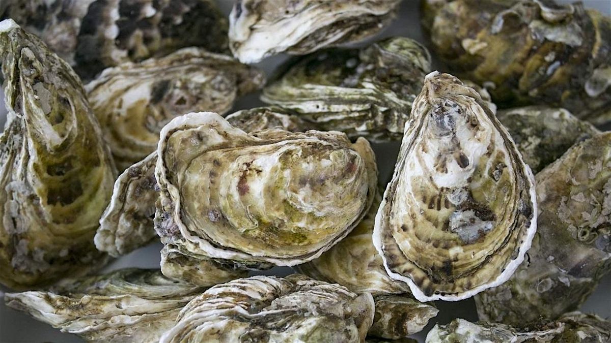 Seafood\/Oyster Fest