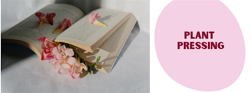 Plant Pressing