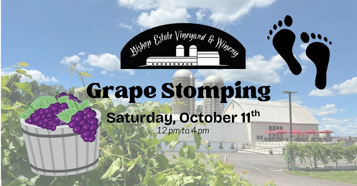 Grape Stomping at Bishop Estate Vineyard & Winery