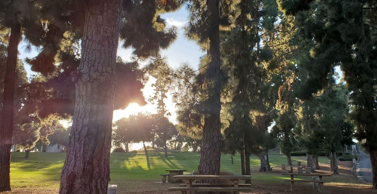 Picnic at Presidio Park in Mission Hills, San Diego