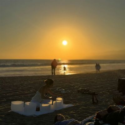 velvet tone palm room