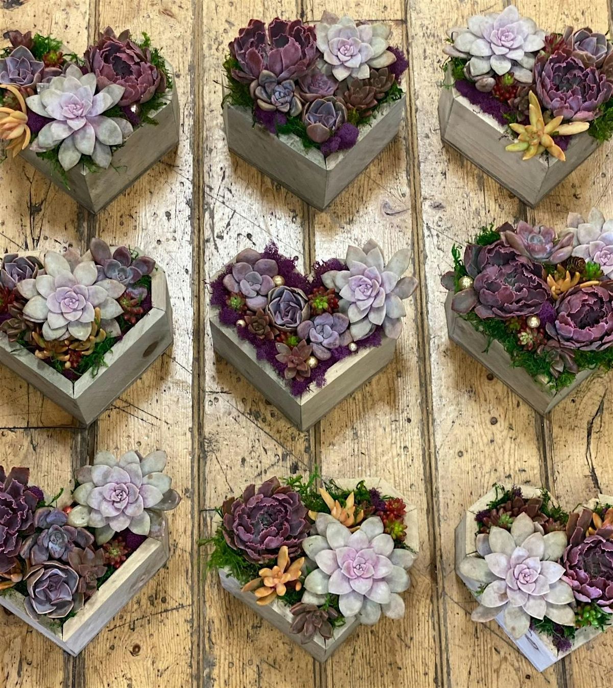 Valentine's\/Galentine's Succulent Heart Workshop