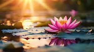 Somatics To Serenity