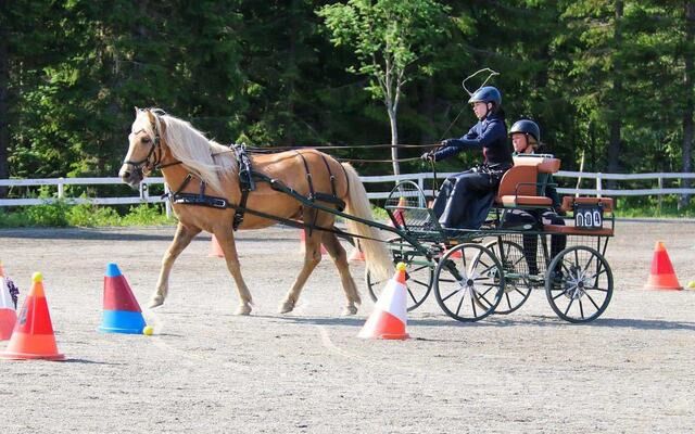 Kj\u00f8rekurs med Roger Haeselich, del 4 av 4