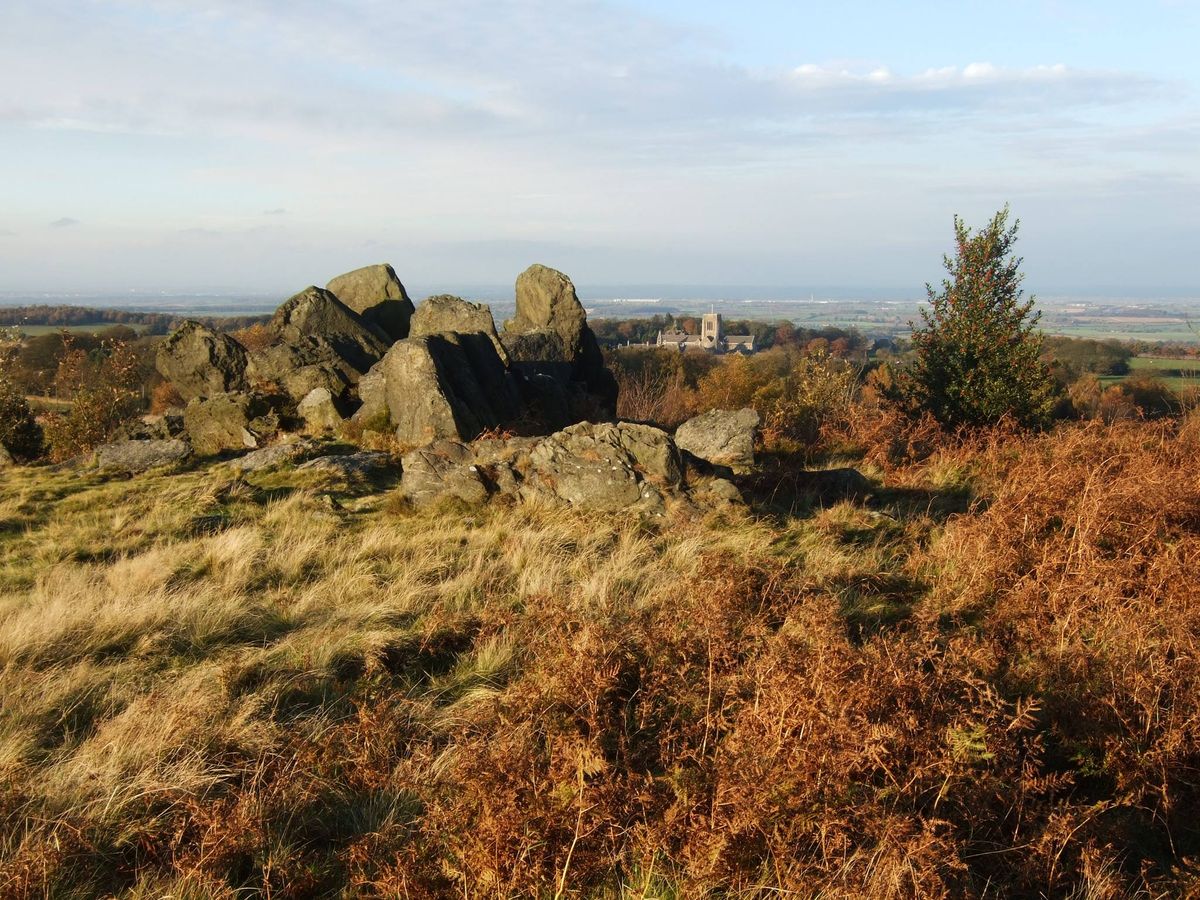 Geology and Natural History Walk at Charnwood Lodge