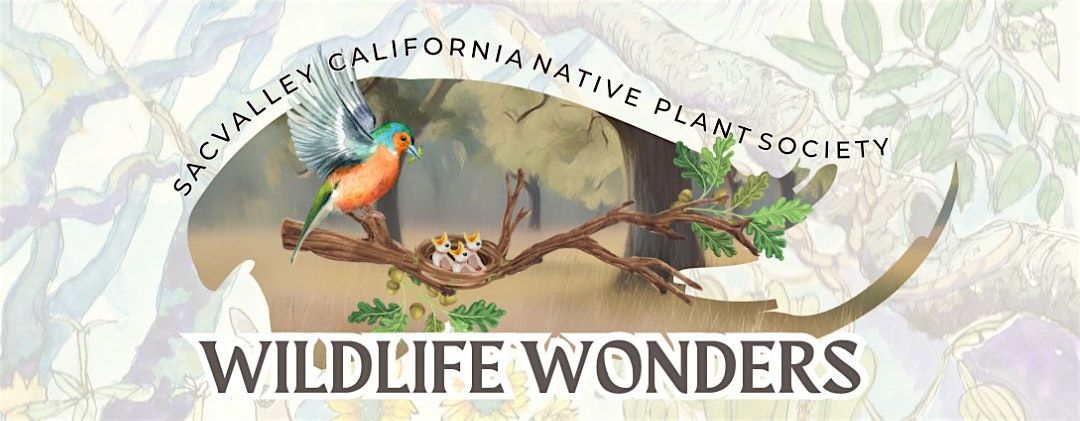 Wildlife Wonders - Fall 2025