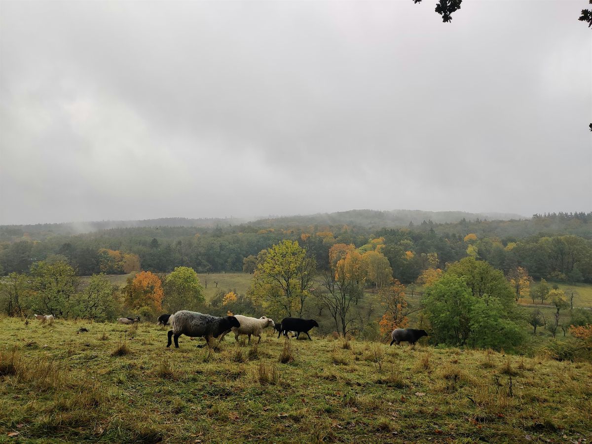 Autumn hike in M\u00e4rkische Schweiz