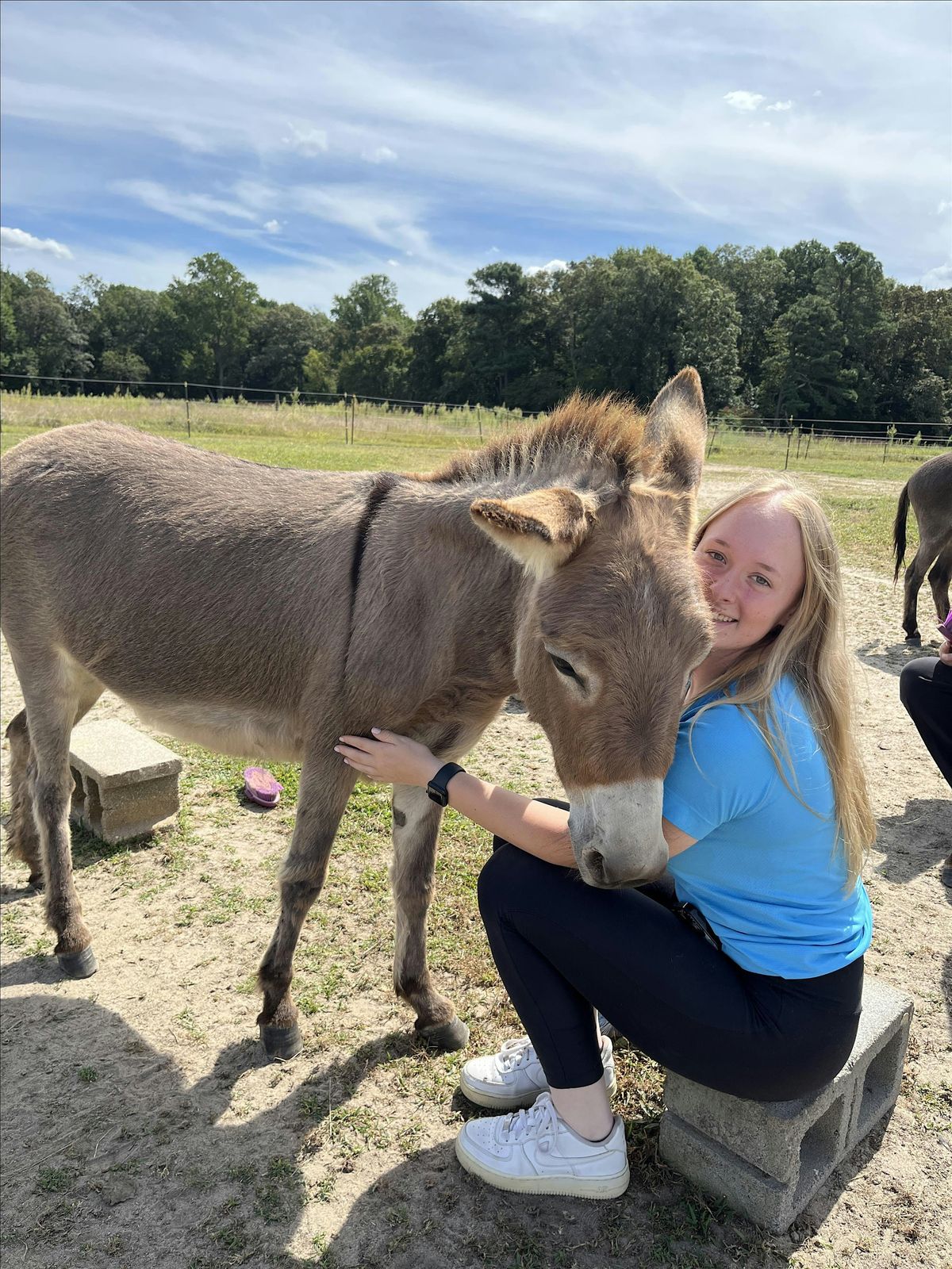 Donkey Cuddling: A Heartfelt Experience with Our Gentle Herd