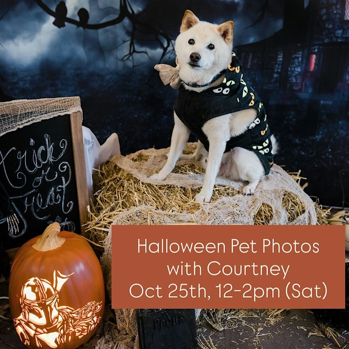 Halloween Pet Photos with Courtney
