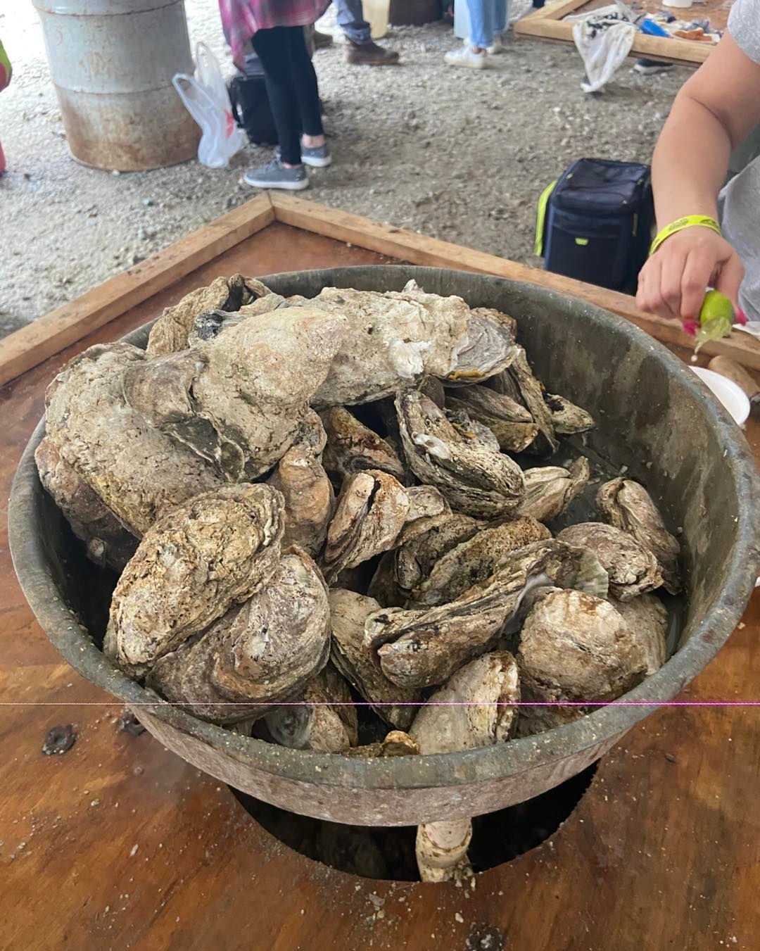 Massey Hill Lions Club 52nd Annual "Shucking for Sight" Oyster Roast