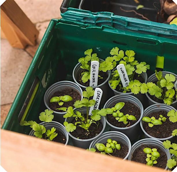 EVENING GARDENING CLUB