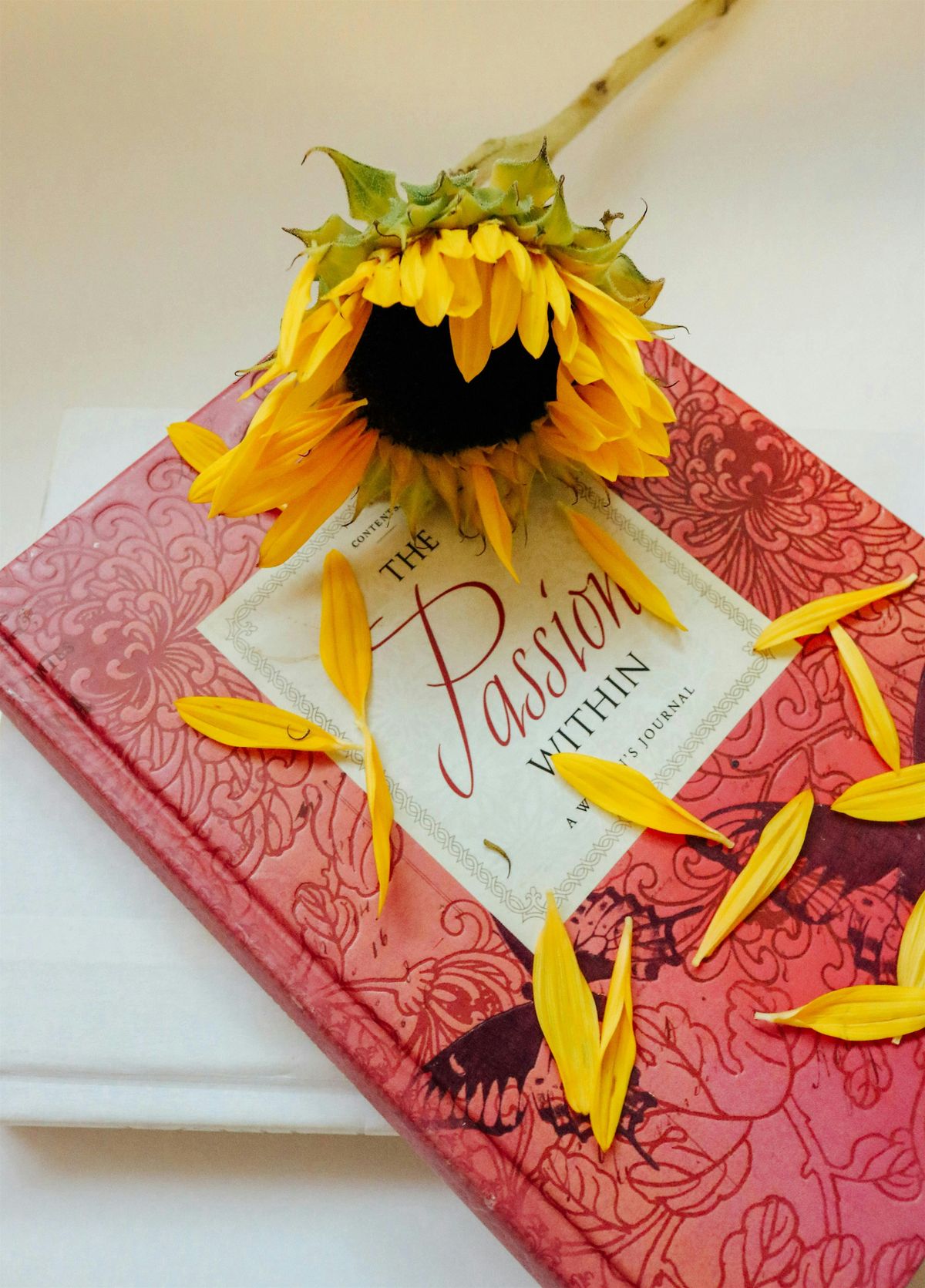 Women's Spiritual Journaling Group