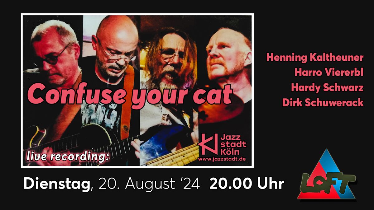 Confuse Your Cat | live recording 
