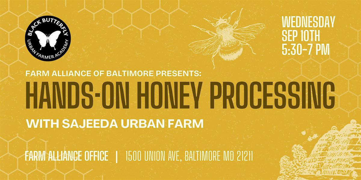 Hands-On Honey Processing