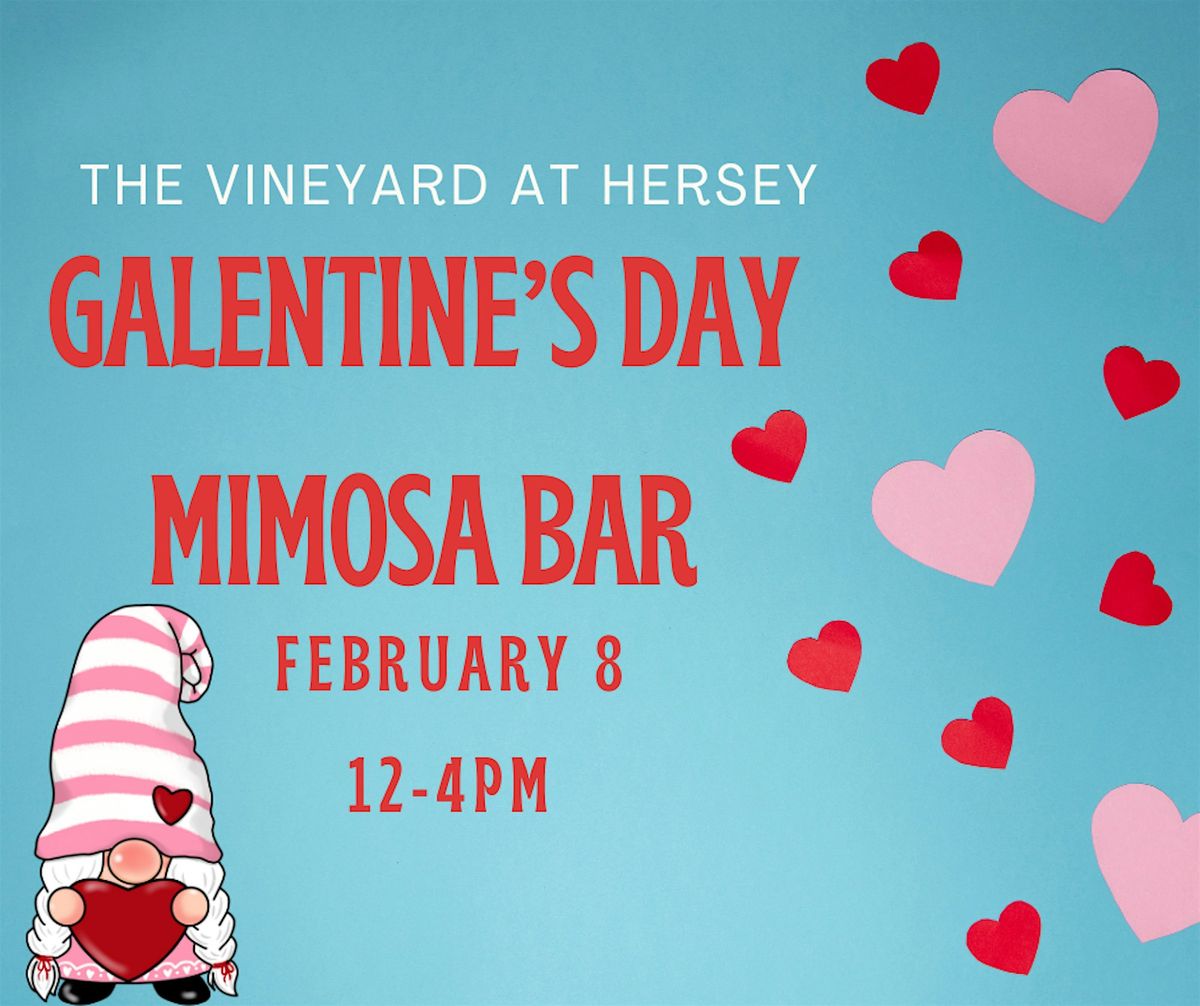 Galentine's Day mimosa bar at The Vineyard at Hershey!