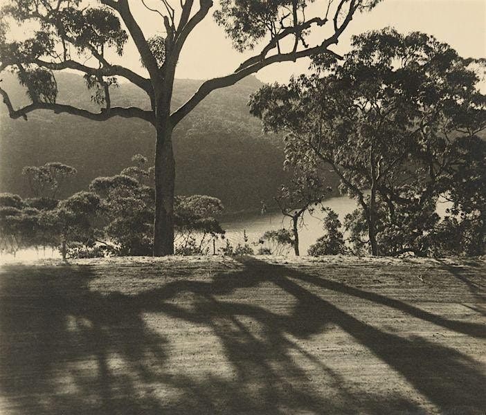 CURATOR TALK: Olive Cotton and her contemporaries
