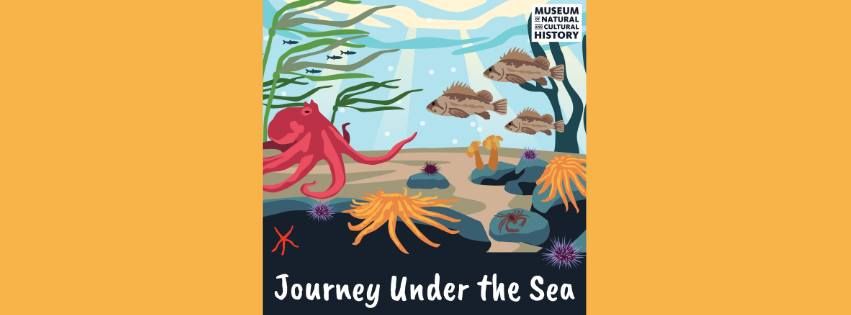 Journey Under the Sea with the Museum of Natural and Cultural History