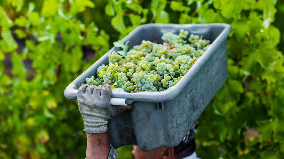 Savor & Sustain: A Wine Dinner with Twomey & Prince Hill Vineyards