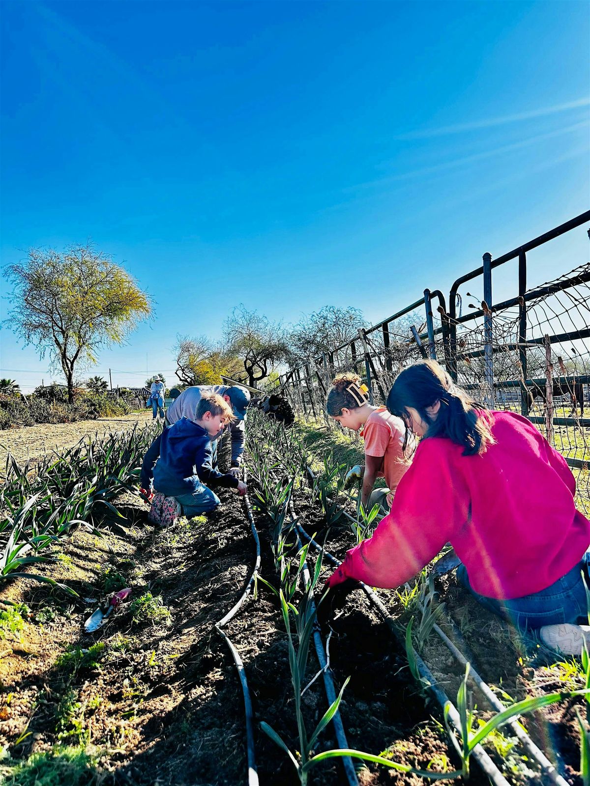 Help-A-Farm - Maya's Farm - Phoenix