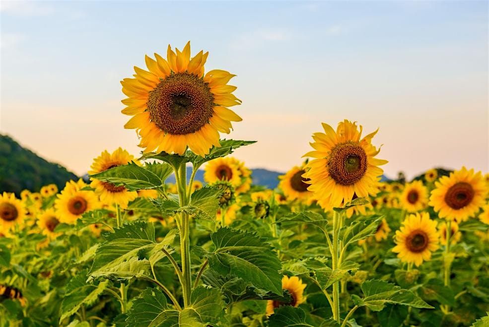 BLAST FROM THE PAST @ 429 MCSASC (Detox)