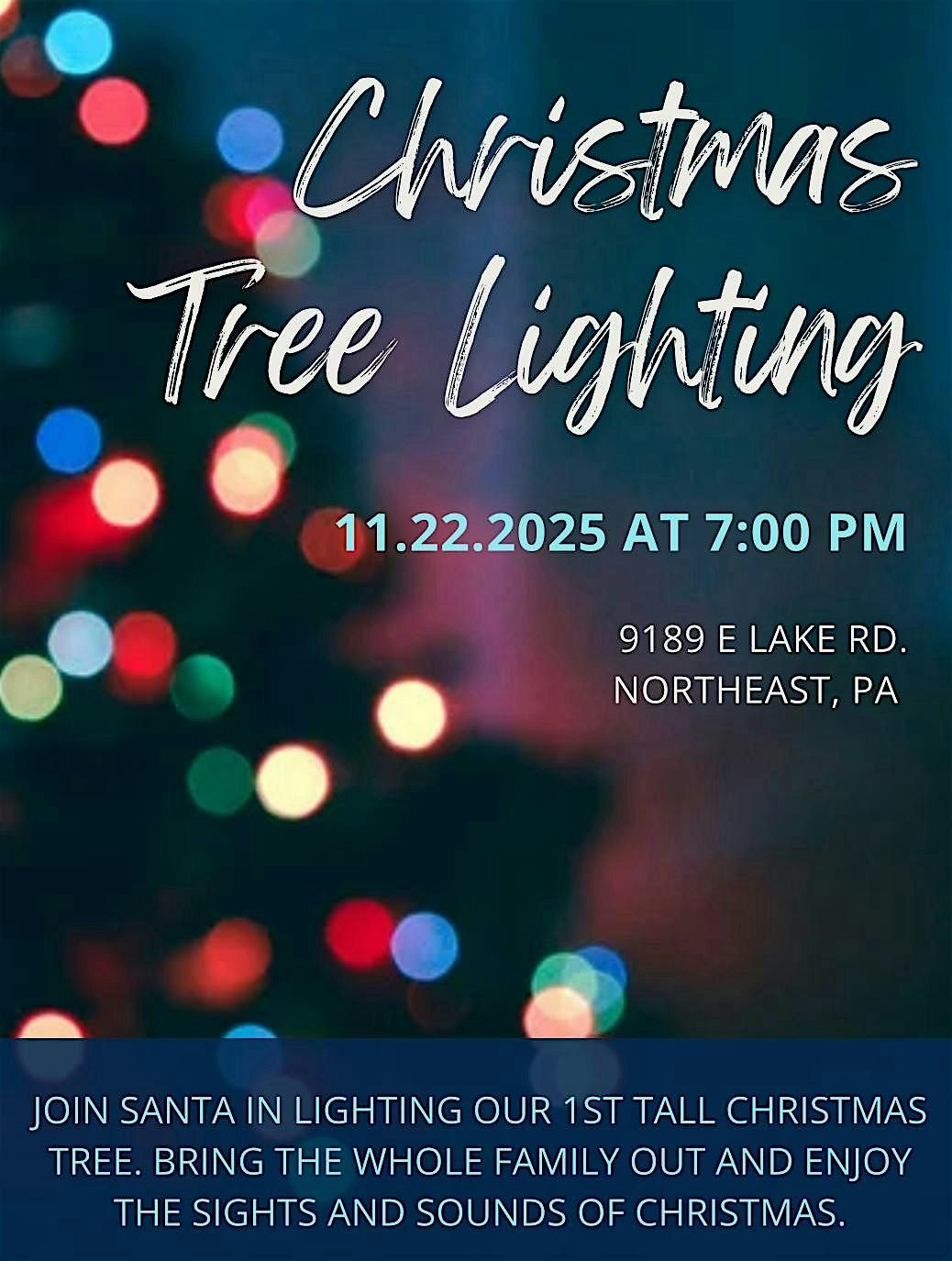 Christmas Tree Lighting