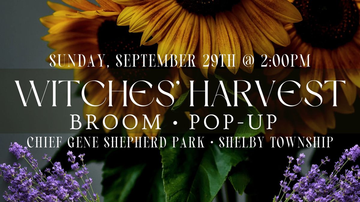 Witches' Harvest Broom Pop-Up