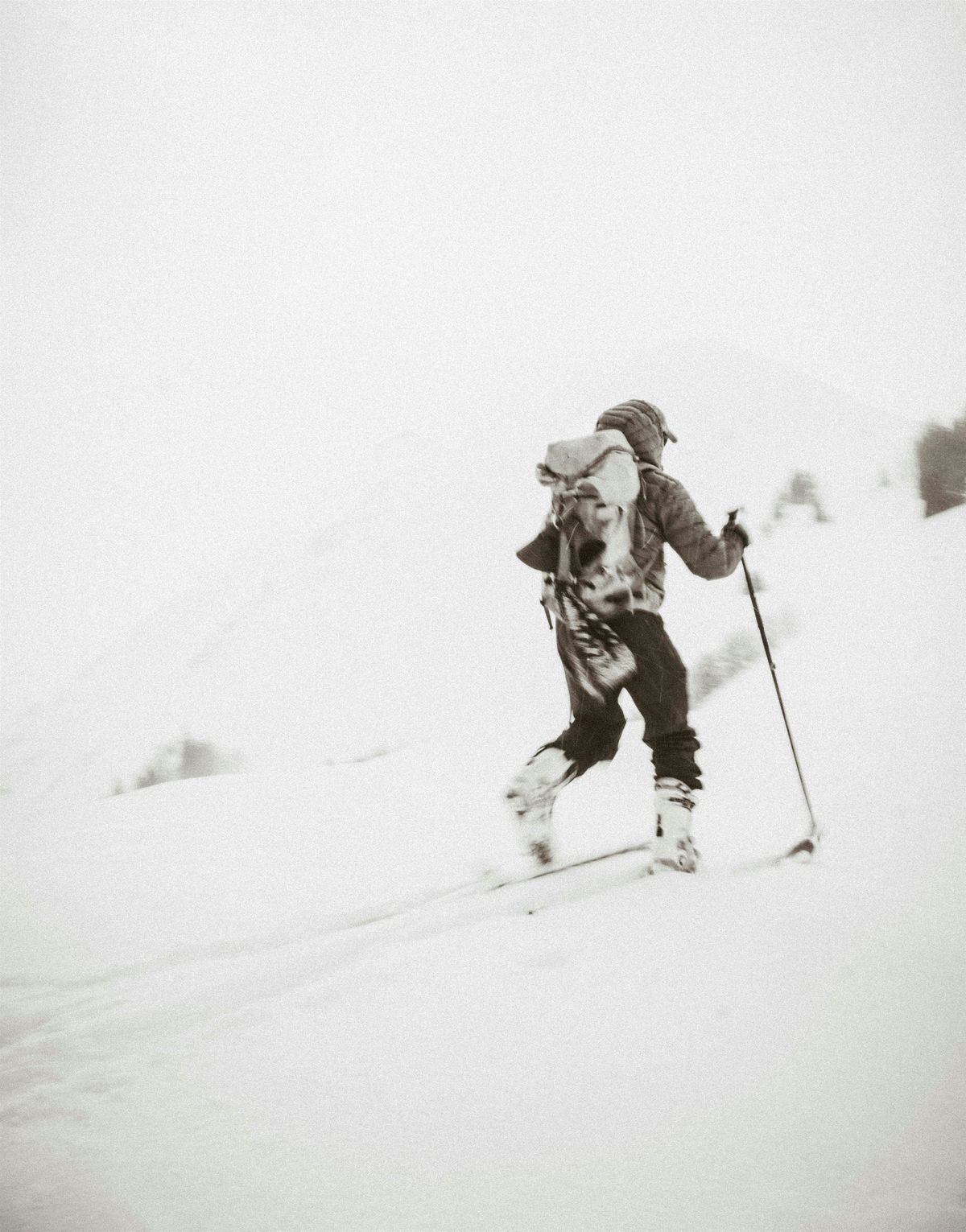 Backcountry Skiing & Riding 101