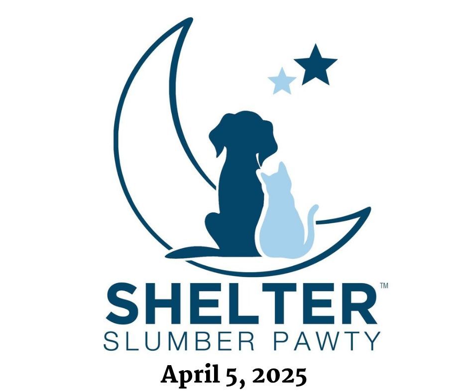 SPCA Shelter Slumber Pawty \ud83d\udca4 