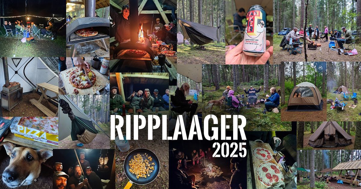 Ripplaager 2025 (Annual Hammock Camp Estonia)