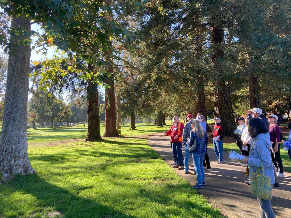 Tree Walk: Pioneer Memorial Park
