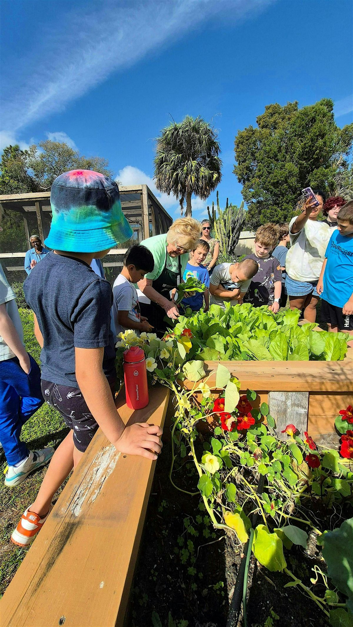 Dig In! Start Your First Vegetable Garden