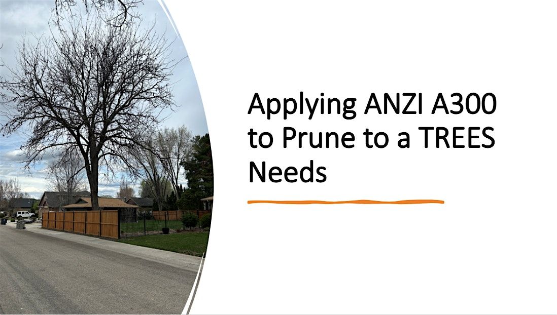 Pruning to ANSI Standards